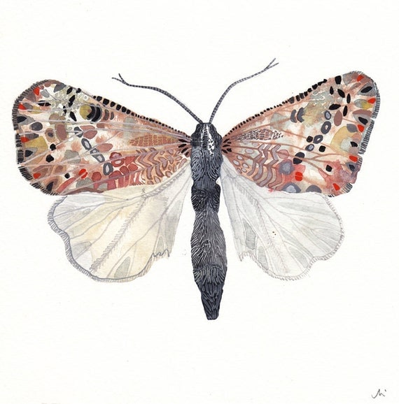Moth No.2 - Original painting