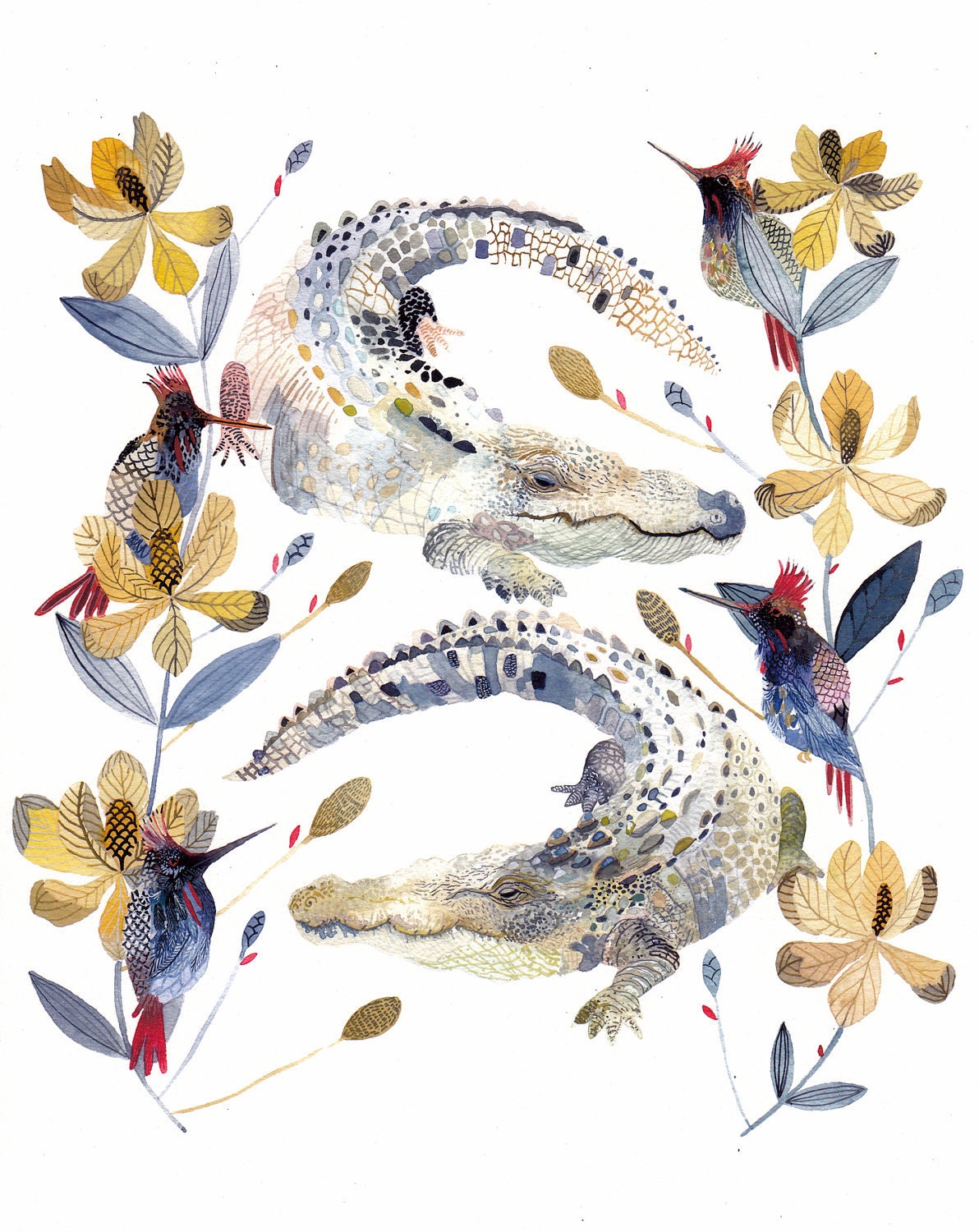 Alligators, Magnolias, and Hummingbirds - Large Archival Print