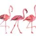 Single Ladies - Large Archival Print
