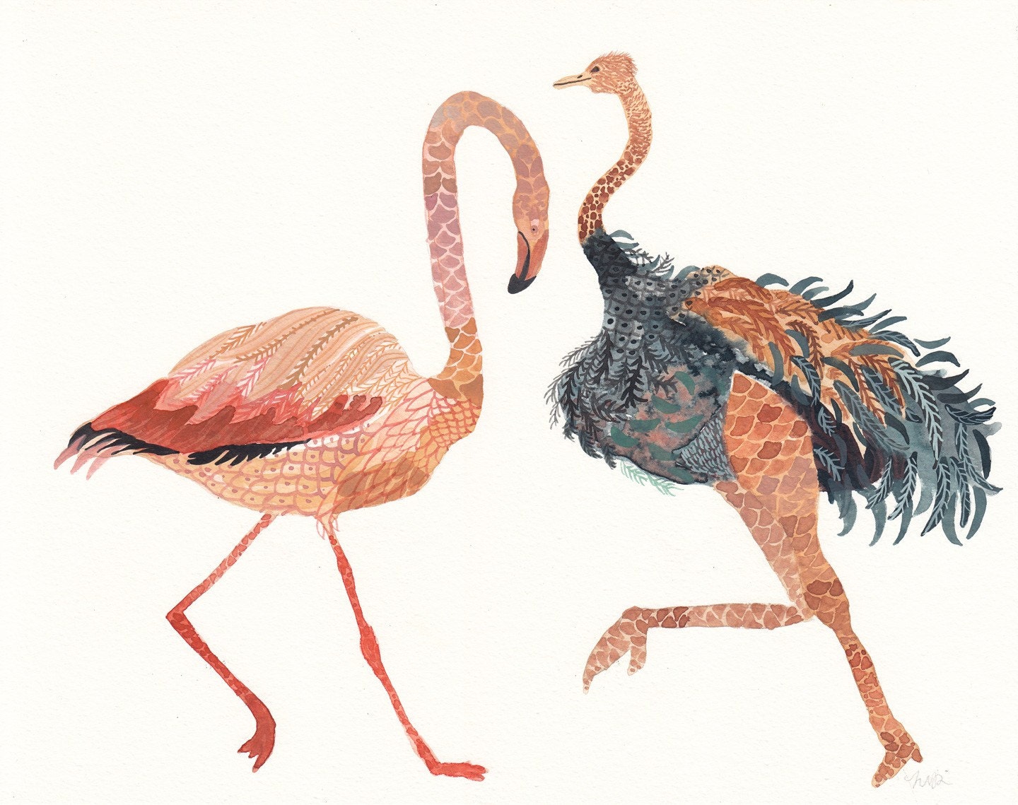 Flamingo And Ostrich