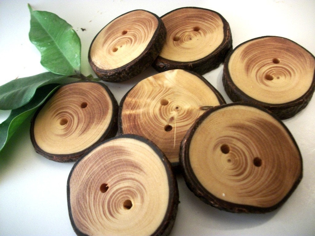 Beautiful Spruce Wood Wooden Tree Branch Buttons... Lot of 8... 1 1/4 to 1 3/8 inch... 2 holes...OOAK for Fiber Projects