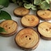 Michigan Made Wood Buttons - 6 Red Pine Wooden Tree Branch Buttons - 2 inch - For Knitting, Sewing, Journals, Pillows
