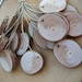 Wood Tags - 20 Michigan Red Pine Tree Branch Gift Tags - 1 3/4 to 1 1/2 Inch - Natural and Organic for Weddings, Artists, Shop Keepers