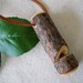 Wooden Whistle Necklace - English Yew Tree Branch Whistle with Leather Suede Cord - For Camping, Hiking, or Nature Lovers