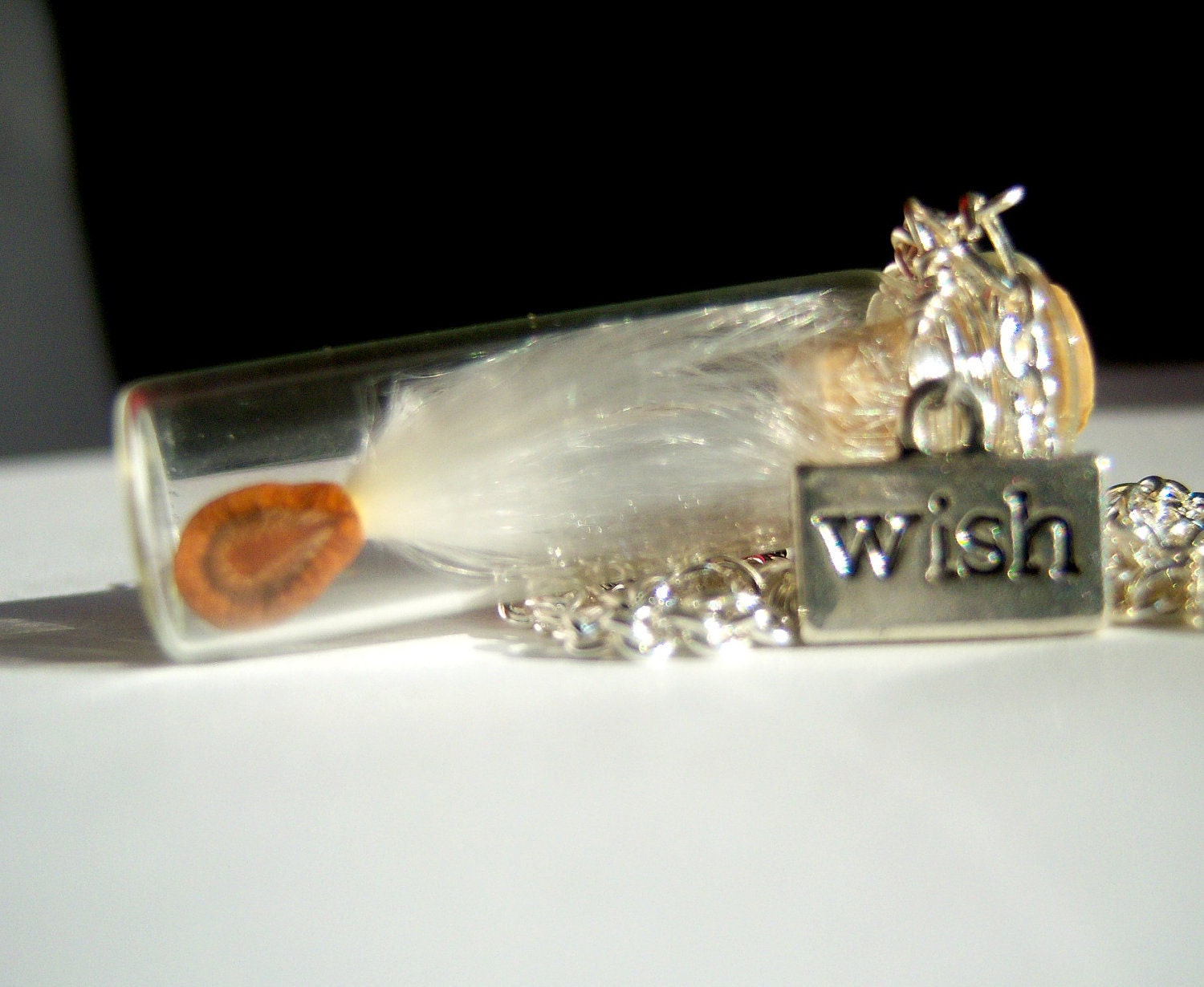 Glass Vial Necklace Glass Bottle Necklace  Make a Wish Necklace with One Big Wishing Seed - 18 inches