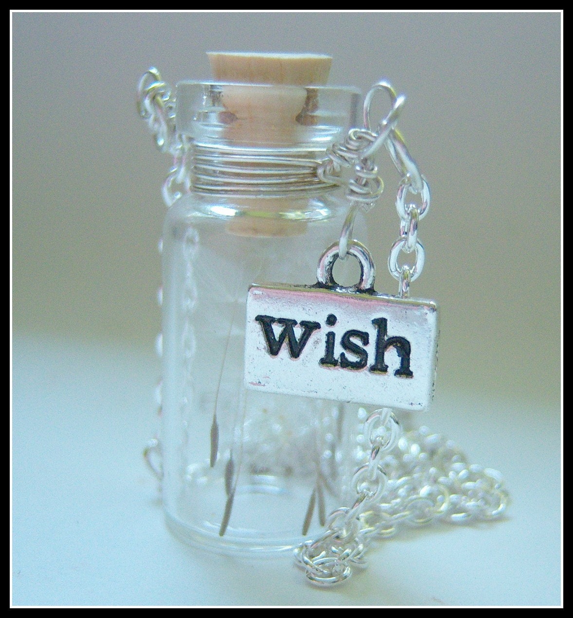 Custom Order For Anna -Tiny Glass Bottle Necklace Make a Wish Necklace with one tiny seed