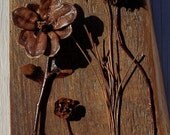 Found in the woods Art assemblage