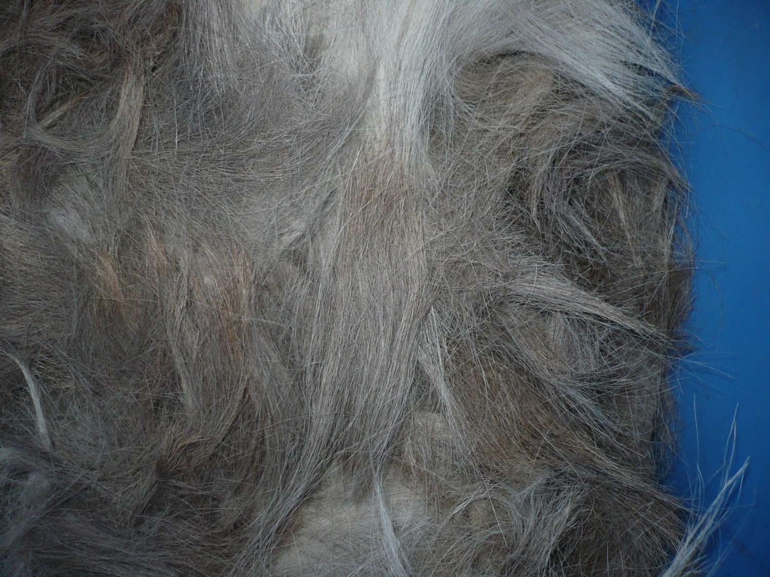 1oz Minature Donkey Hair SOFT and Beautiful Silvery Grey