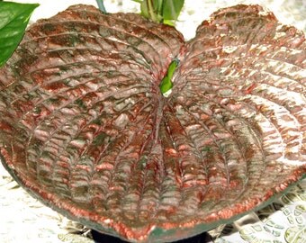 Medium Hosta Leaf Casting Birdbath or Dish
