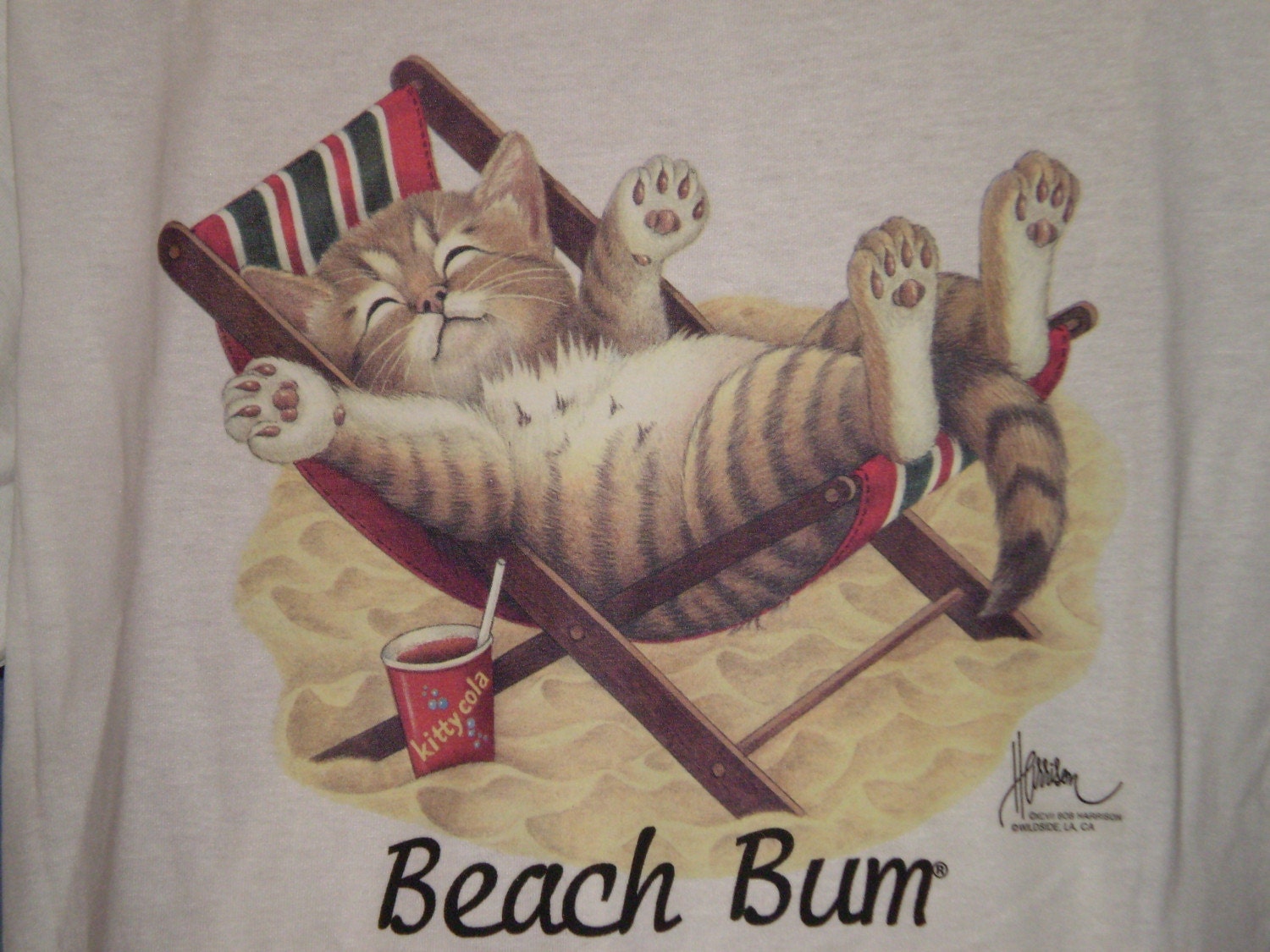 beach bum cat t shirt