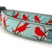 Warbler Blue Dog Collar 1 inch wide