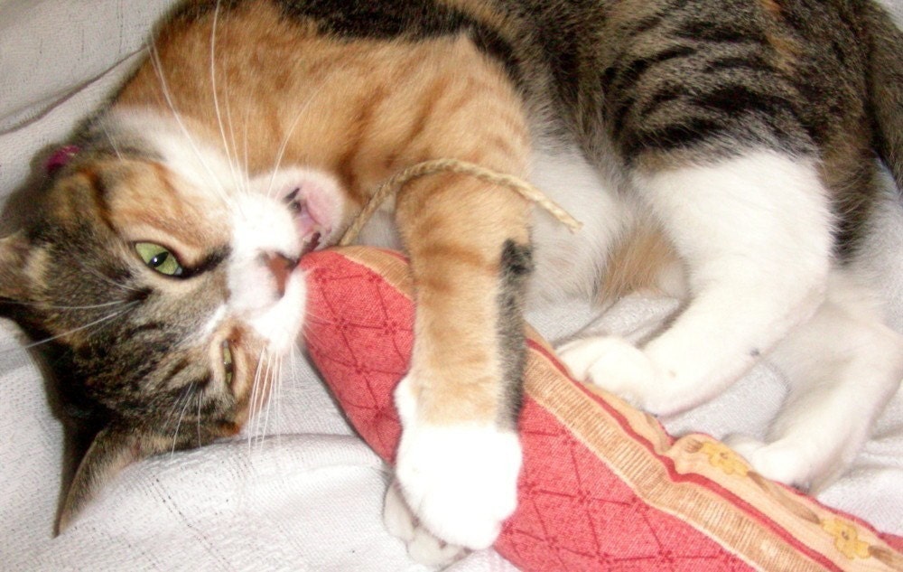 TWO Beat-em Ups - Cat Toy made with Interior Design Fabric Scraps and Organic Catnip