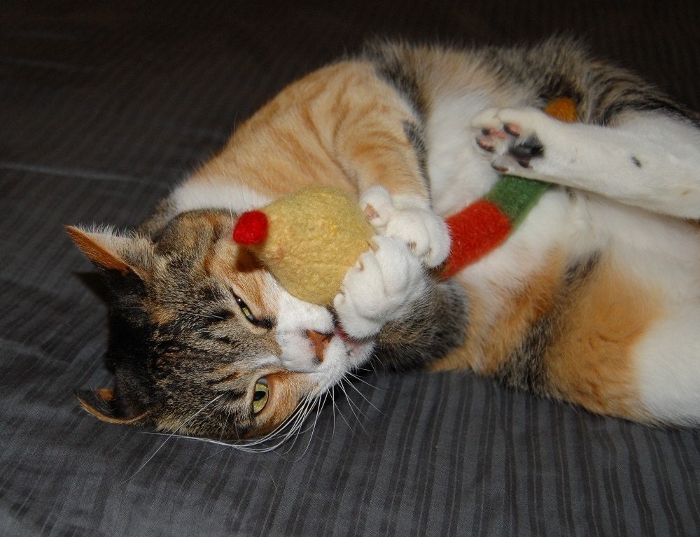 Ssslappy Snake - Hand Knit Boil Felted Wool Cat Toy with Organic Catnip