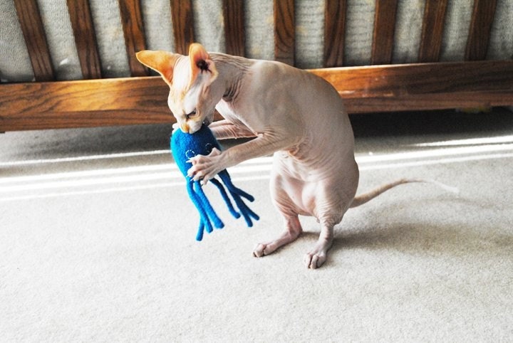 Octopussy - Hand Knit Felted Wool Cat Toy with Organic Catnip