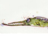 Toothy Fish Greeting Card // Blank Illustrated Animal Friendship Birthday Anniversary Mothers Day Gift Card 4" x 6"