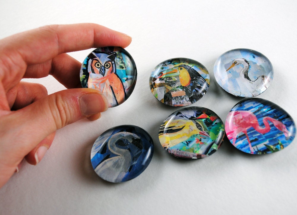 Bird Bubble Magnets, Set of 6