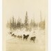 1920s Maybe Snow Landscape Dog Sled Photograph