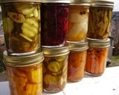 Choose Your Own (Pickle) Adventure Pack