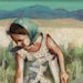 Wheat fields