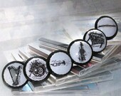 Door Pulls Musical Instruments 6 pc Set Door Pulls