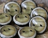 Birds on a WIre Door Pulls 8 pc set
