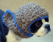The Blue Baron Dog Hat