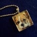 BOXER dog glass photo pendant charm tile necklace dog rescue