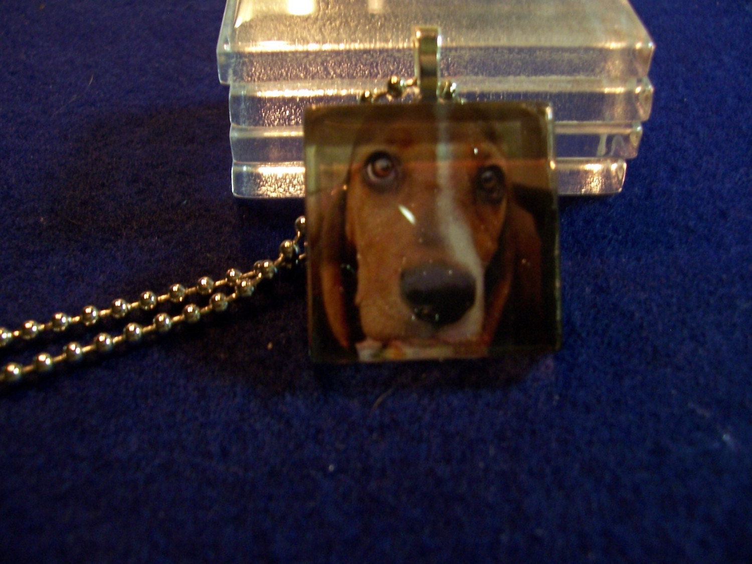 BASSET Hound dog photo glass pendant charm tile necklace magnet or pin dog rescue