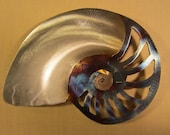 Nautilus Shell Steel Wall Art Metal Sea Ocean Beach House Coastal Cottage Home Decor Beach Combing Tidal Surf Sand