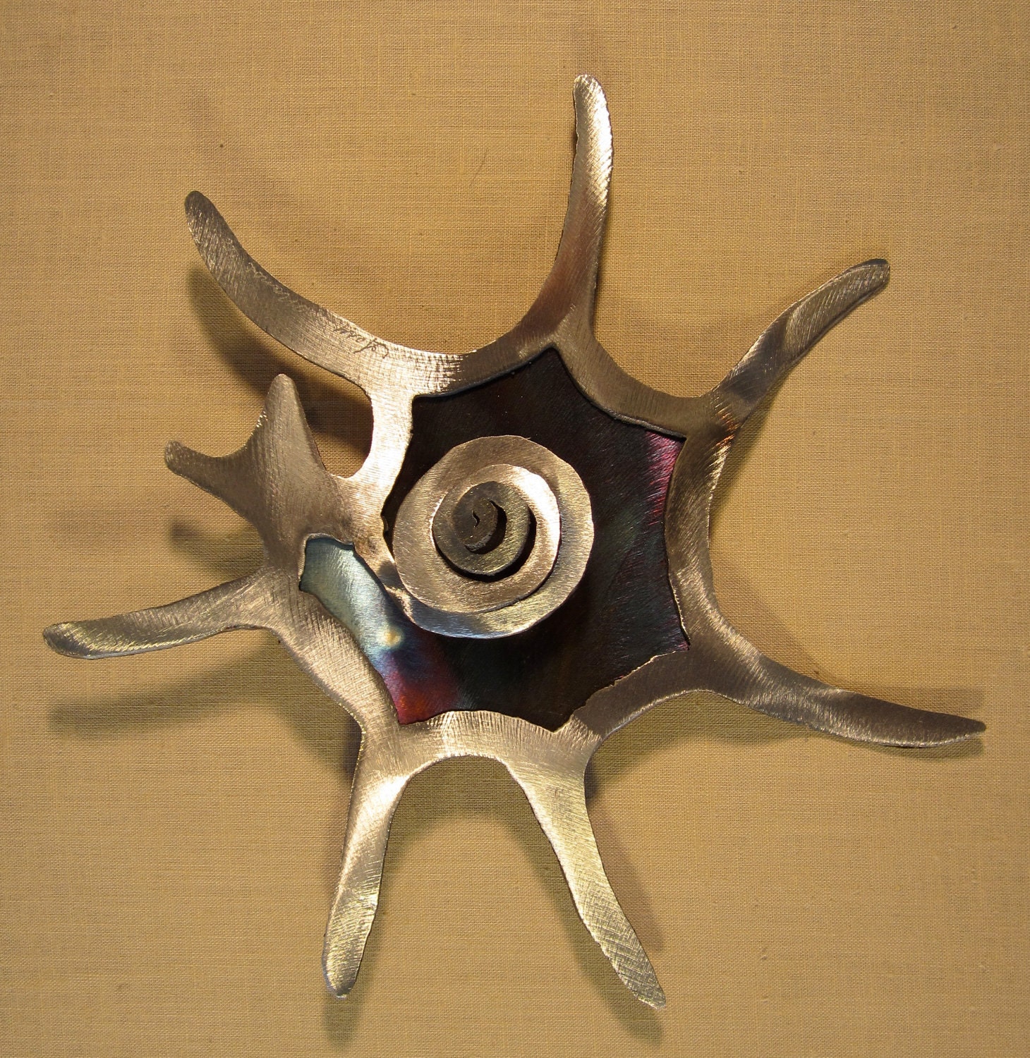 Guildfordia Yoka Star Turban Snail Shell Steel Wall Art Metal Sea Ocean Beach House Coastal Cottage Home Decor Beach Combing Tidal Surf Sand