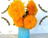 Turquoise Sunflower - 8 x 10 Photography Print
