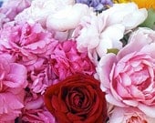 Gorgeous Mixed Summer Bouquet - Fine Art 8 x 10 Photography Print