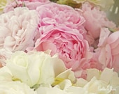 White & Pink Cabbage Rose Bouquet - Fine Art 8 x 10 Photography Print