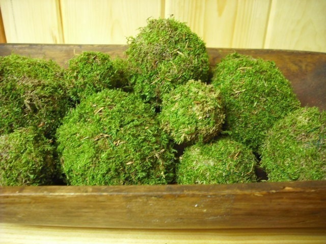 Set of 12 Moss balls or pomander assorted sizes, natural organic woodland addition to your home.