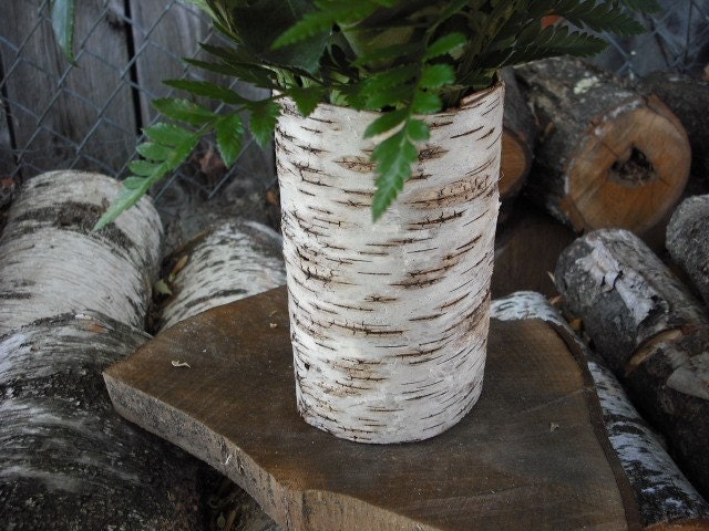 20 Birch Bark covered glass vases. Made in New Hampshire. For your nature, woodland, rustic, eco-friendly wedding.