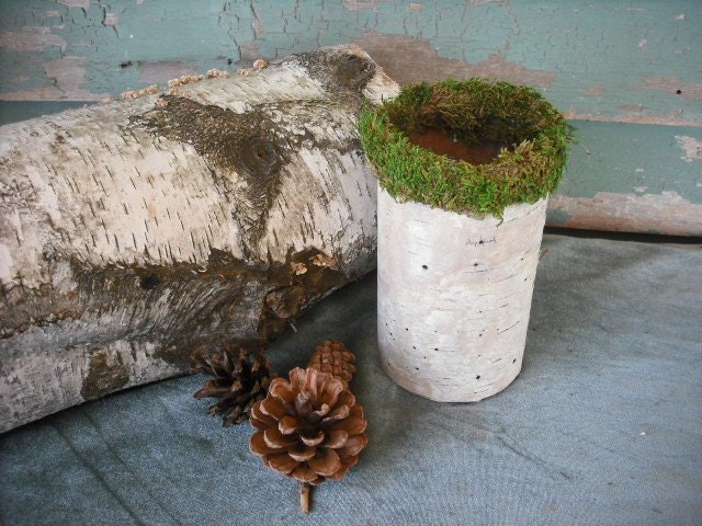 6" tall Birch Bark covered glass vase. Edged with green moss.Made in New Hampshire. For your nature, woodland, rustic, eco-friendly wedding.