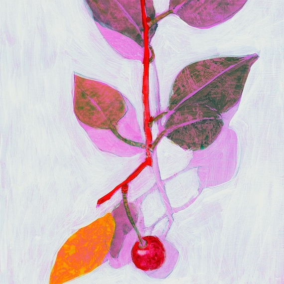 Morello Cherry (print)