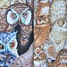 destash fabric Owl Faces realistic bird FQ 2 diff fat quarters