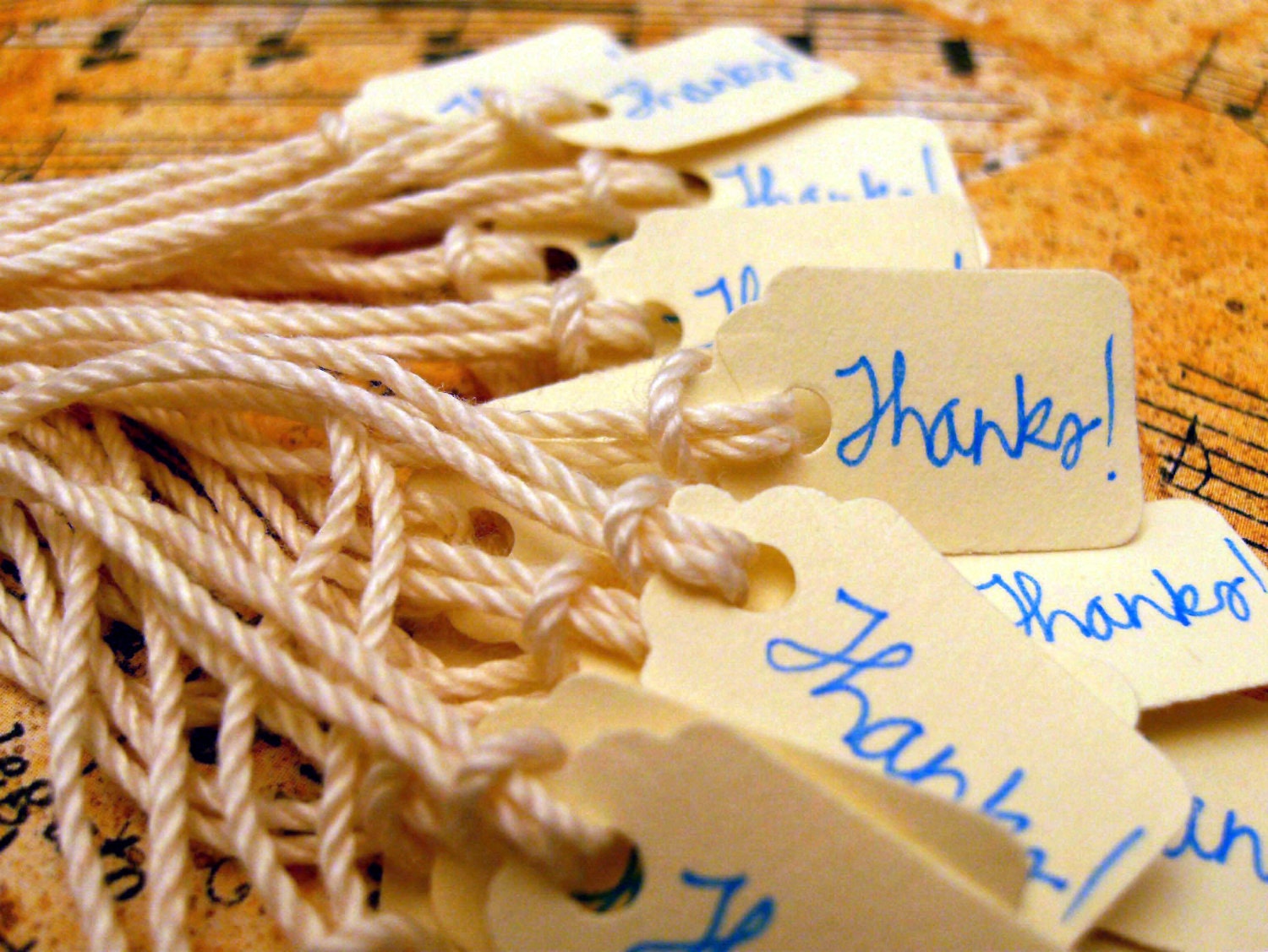Gift Tags - Many Mini Thanks - Blue on Cream (Set of 20)