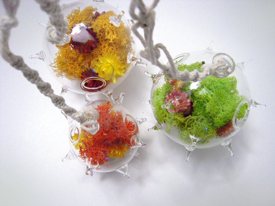 Large Ball and Chain Terrarium