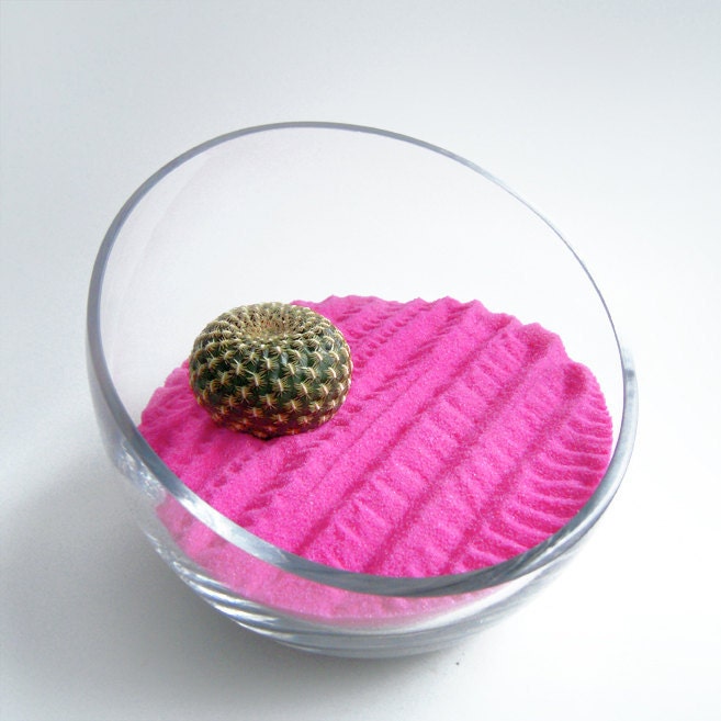Less Work More Zen V ( Modern Zen Garden )