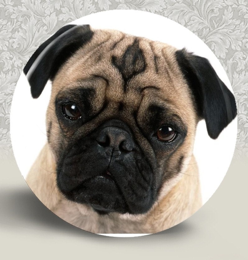 PUG Pocket Mirror or Magnet 2.25" 2-1/4" - Buy 2 Get 1 FREE (D100)