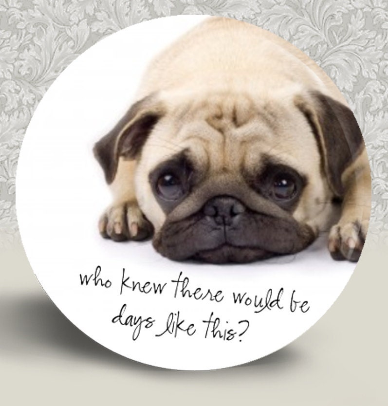 PUG Pocket Mirror or Magnet 2.25" 2-1/4" - Buy 2 Get 1 FREE (D121)