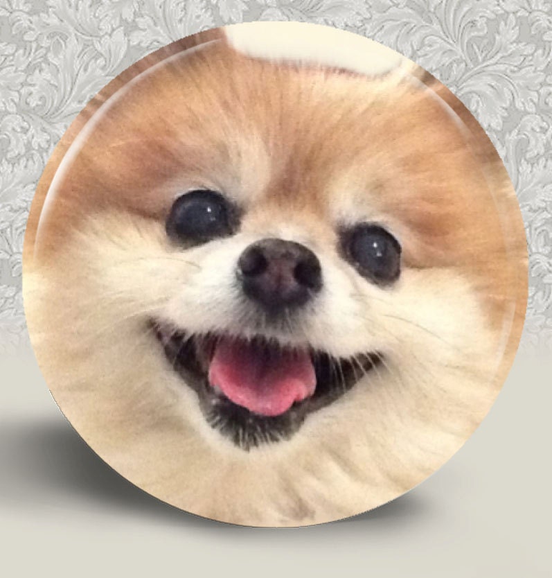 POMERANIAN Pocket Mirror or Magnet - Buy 2 Get One FREE  2-1/4" 2.25" (D1)