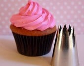 Star Giant Pastry Tip