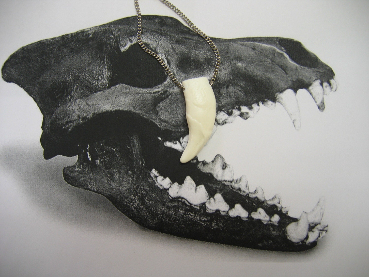 Wolf Canine Tooth Fang Pendant Necklace - Timberwolf