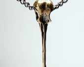 Hummingbird Skull Necklace Bronze Bird Skull
