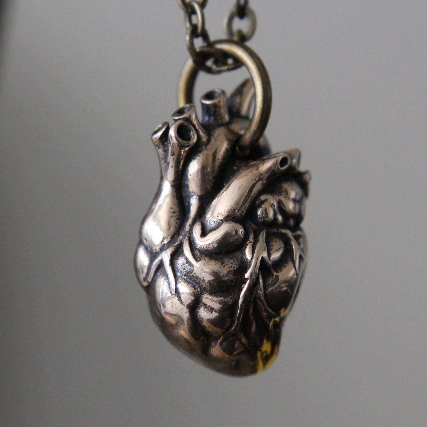 Anatomical Heart Necklace In Solid Bronze