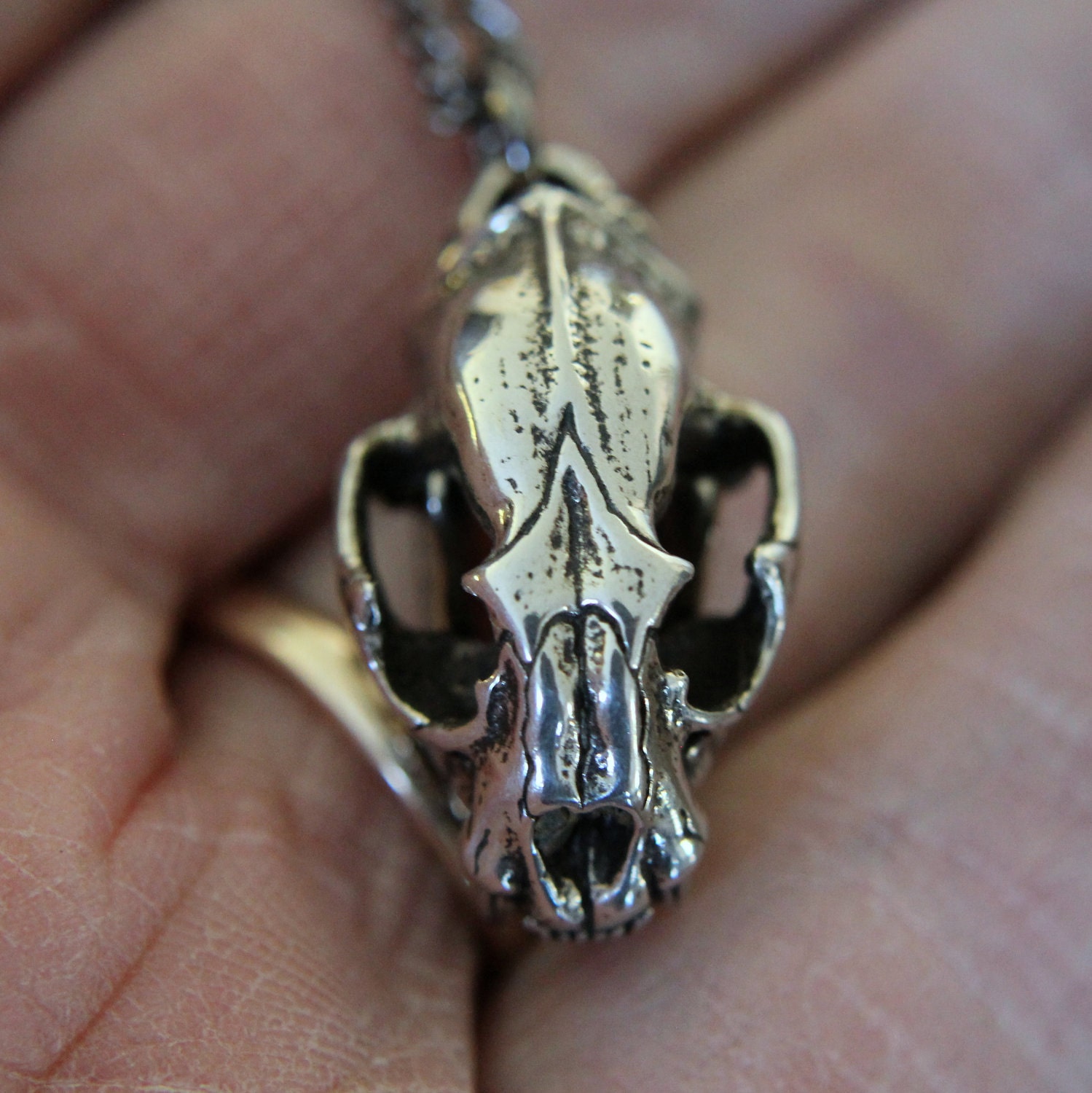 Cat Skull Pendant in Solid White Bronze with Fully Articulated Jaw
