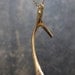 Wishbone Necklace - A Thanksgiving Wish